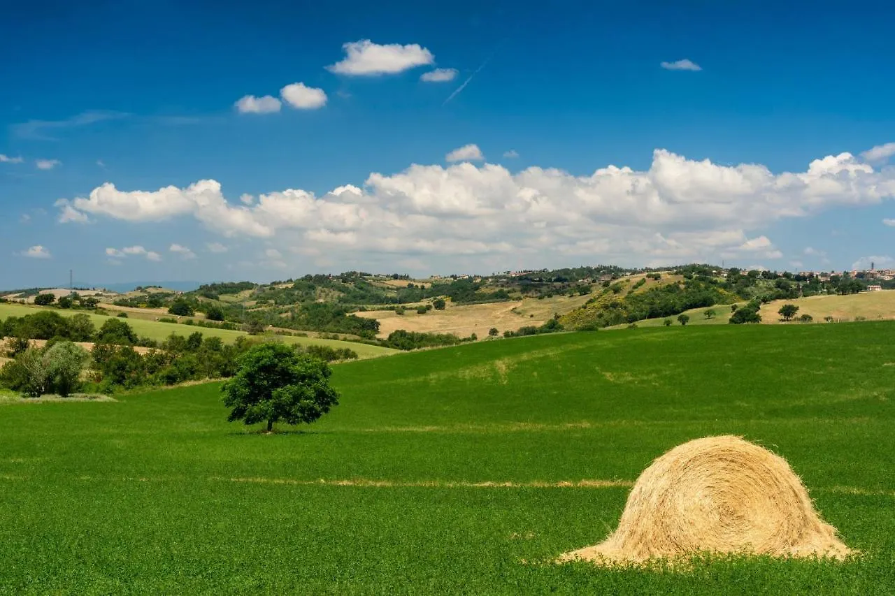 Family Apartments With Pool Near Volterra - Happy Rentals Pomarance